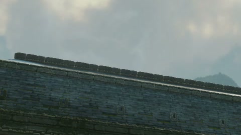 Close-up of the aim point just before the throw