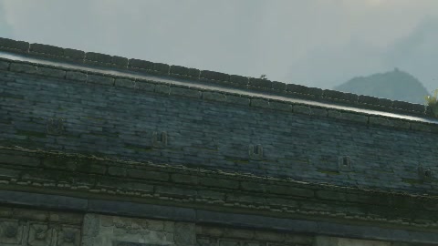 Close-up of the aim point just before the throw