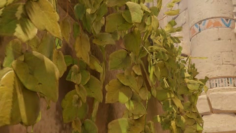 Close-up of the aim point just before the throw