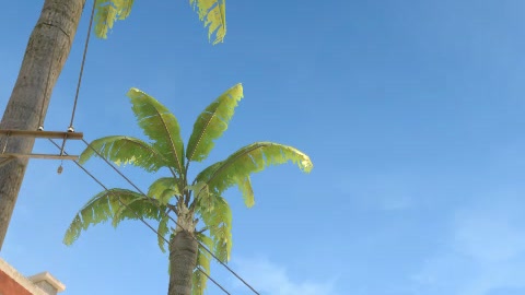 Close-up of the aim point just before the throw