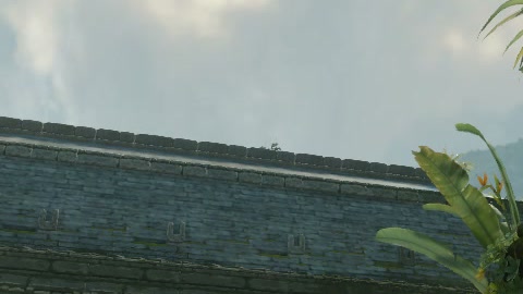 Close-up of the aim point just before the throw