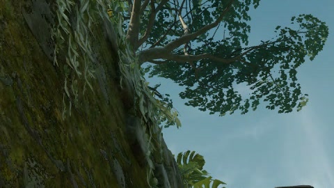 Close-up of the aim point just before the throw